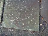 image of grave number 810610